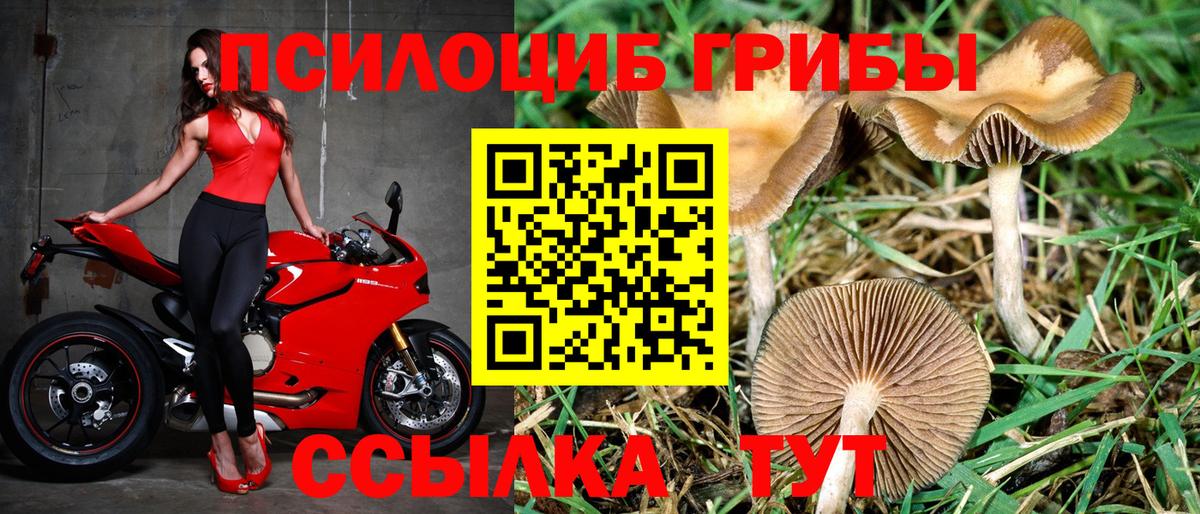 Галлюциногенные грибы мухоморы Дагестанские Огни