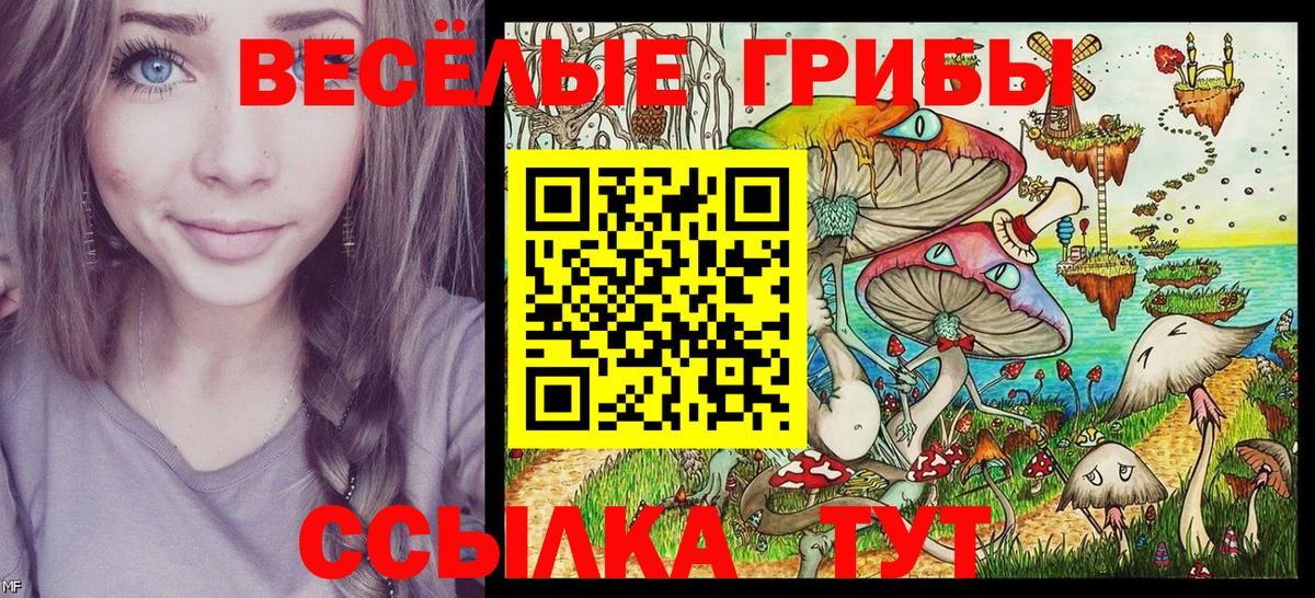 купить наркотики цена  Галлюциногенные грибы GOLDEN TEACHER  Вход с VPN  Псилоцибиновые грибы мицелий  Дагестанские Огни 